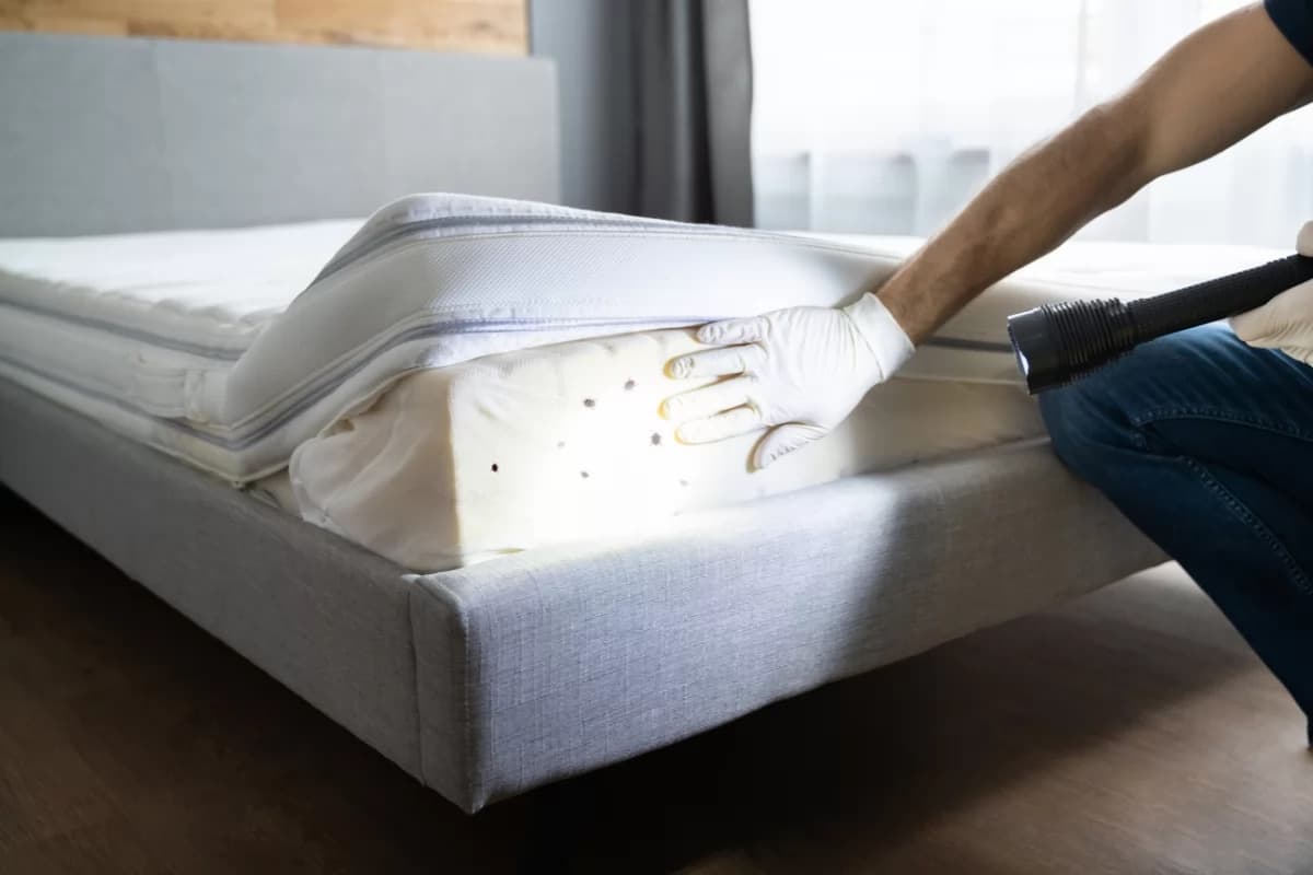Hotel & Restaurant Pest Management