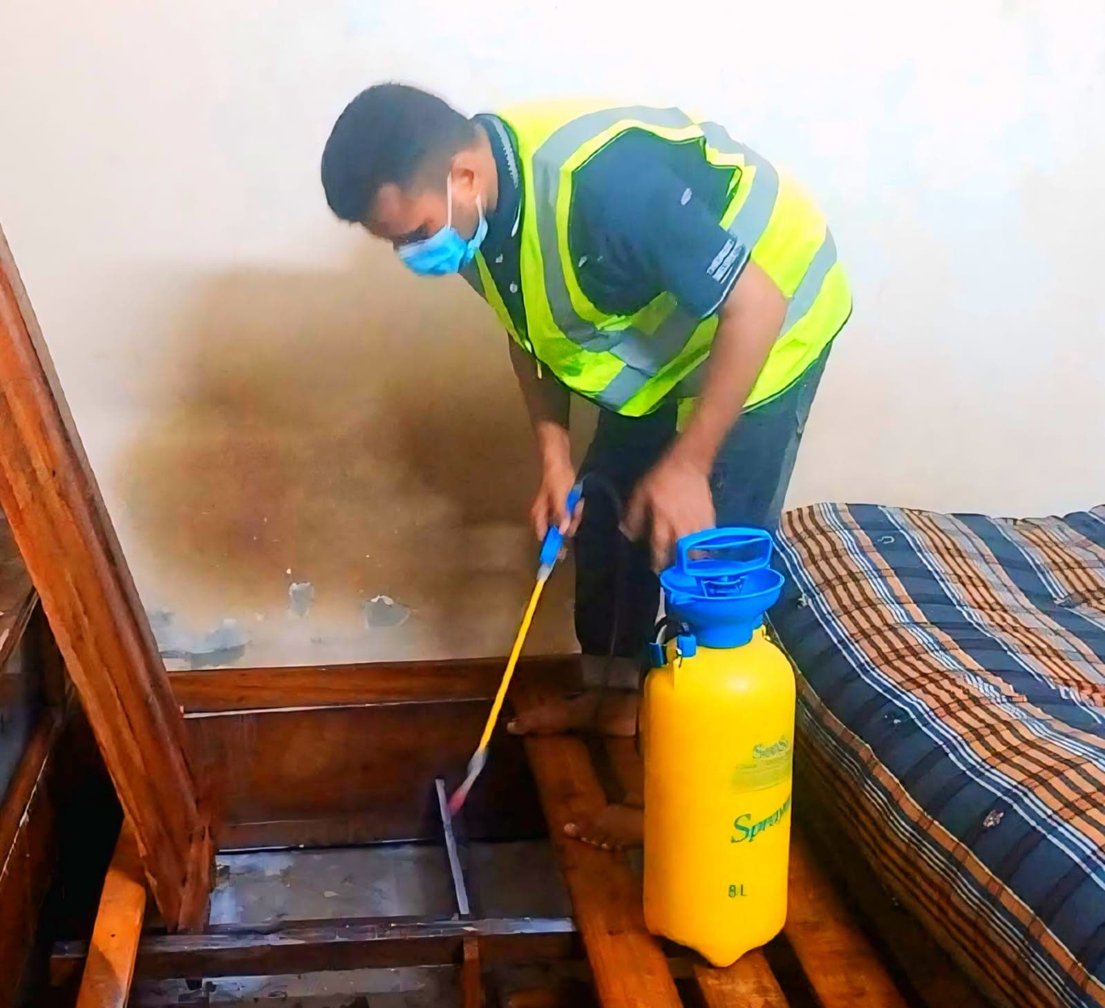 Hotel bed bug pest control service