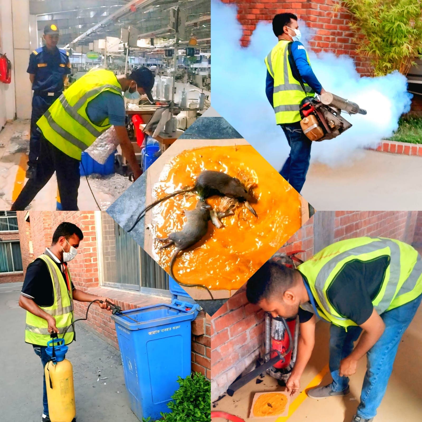 Professional equipment used for disinfection