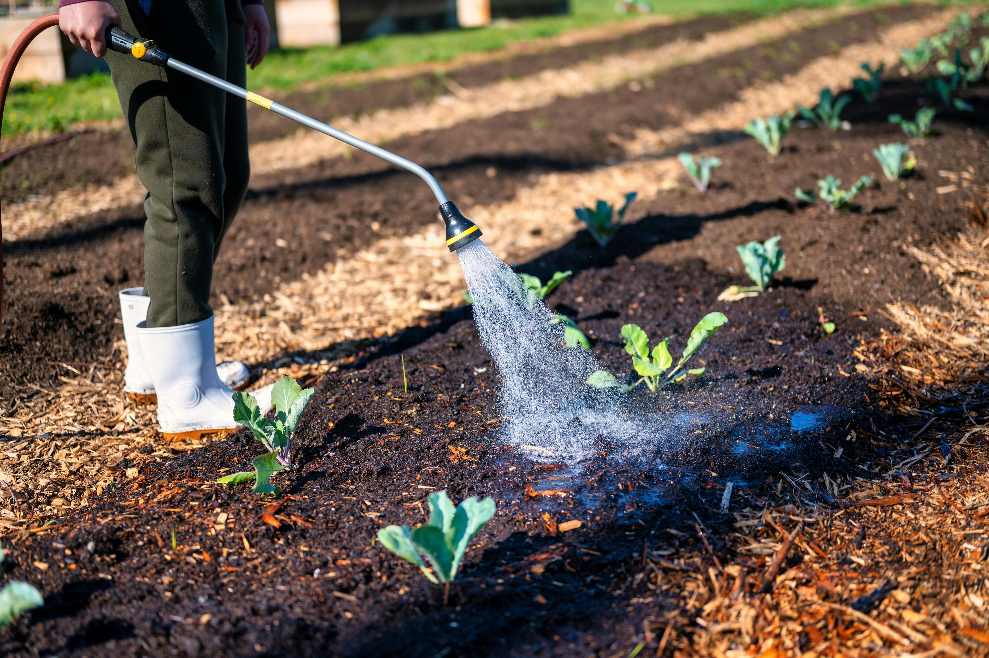 Soil Treatment